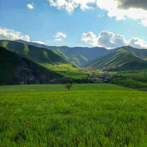  نخوندم که تو رپ واسم بشه باعثه شر خوندم فقط به عشق بچه ی پایین شهر